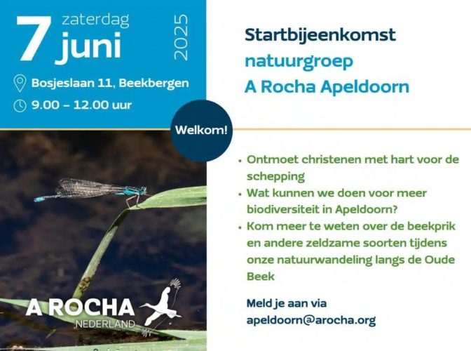 ARochaApeldoorn