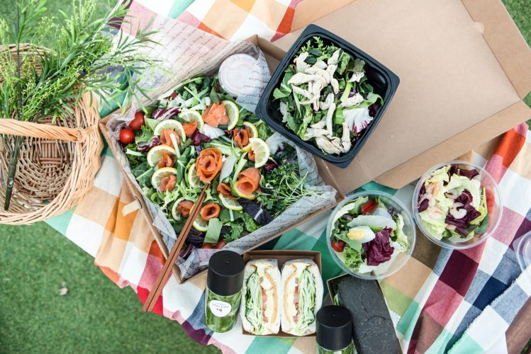 Lpegasu picnic